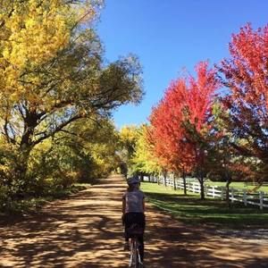 Meet your Posher, Dulcie